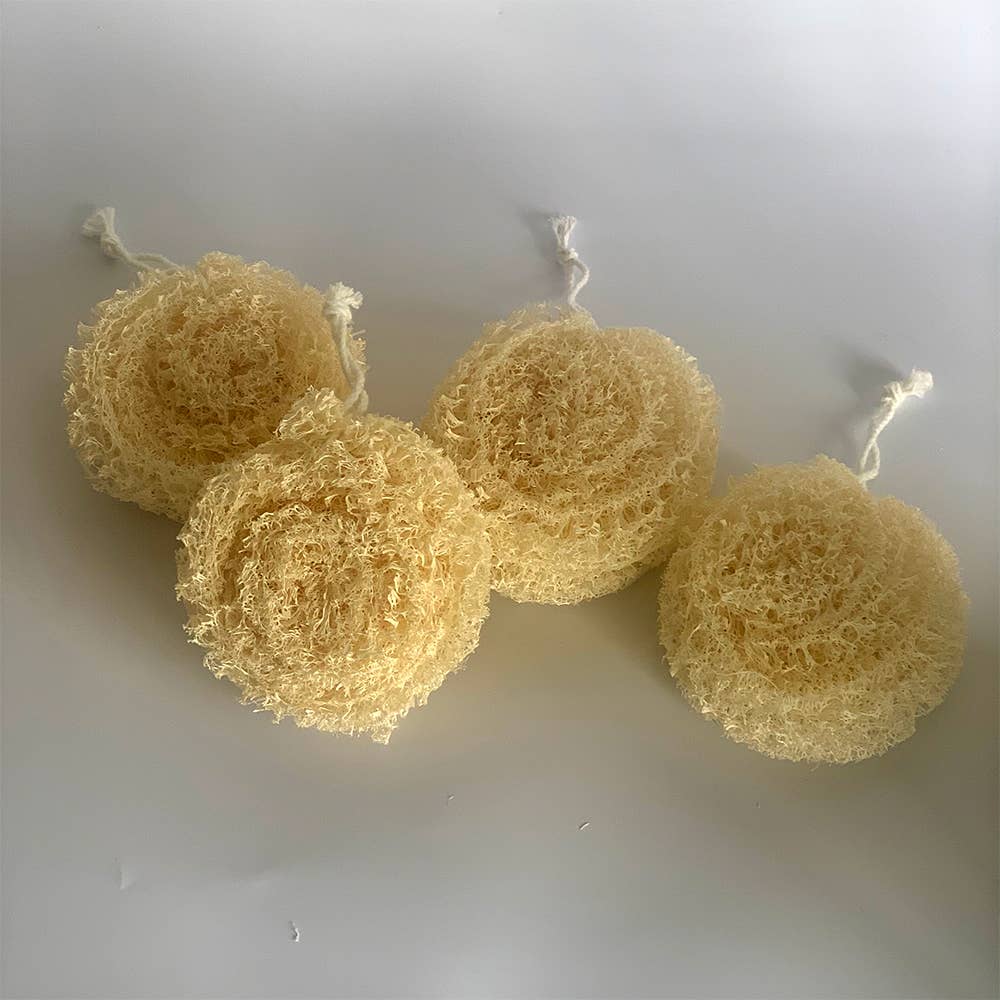 Luffa, rund