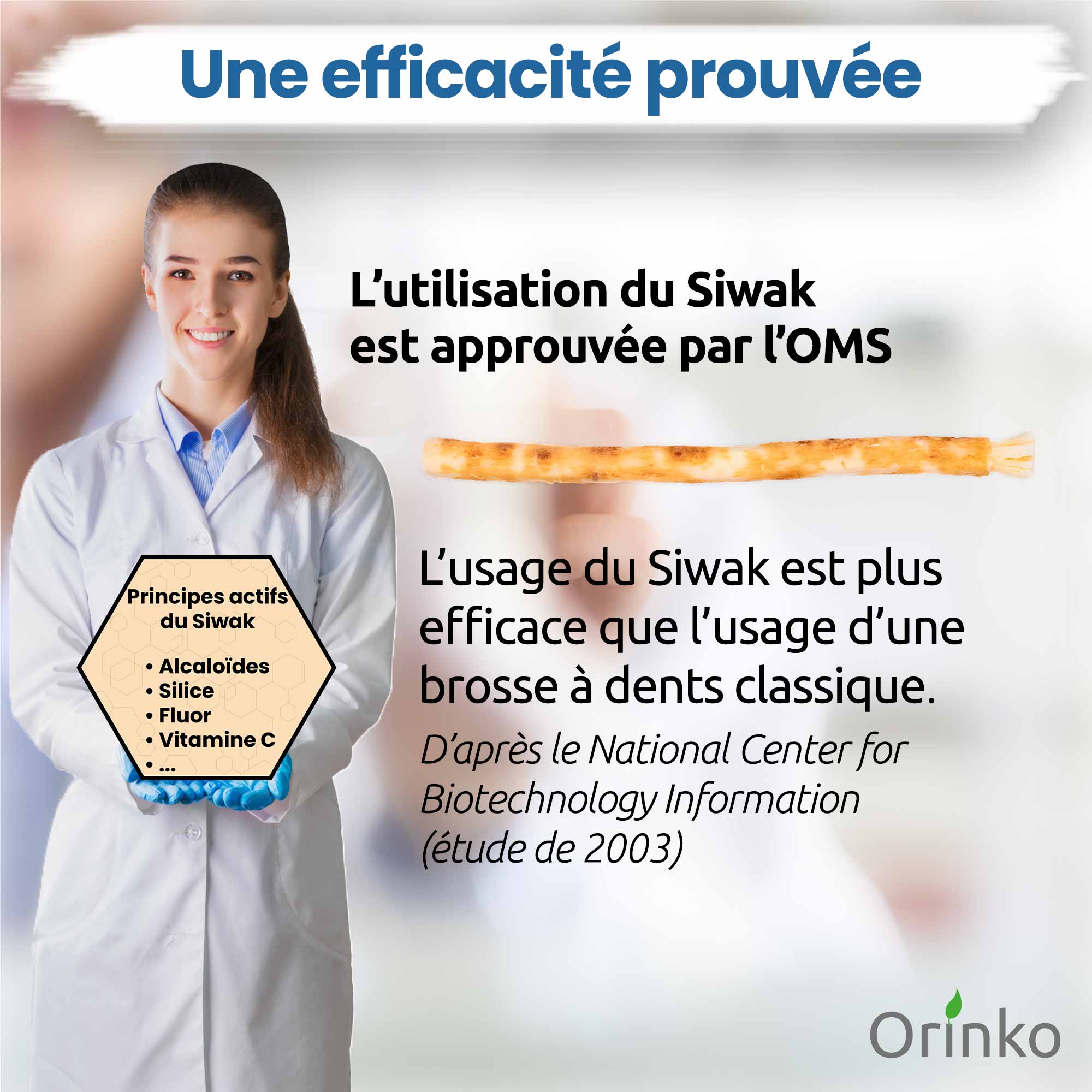 Miswak  ( Siwak)  x5 + suojakotelo