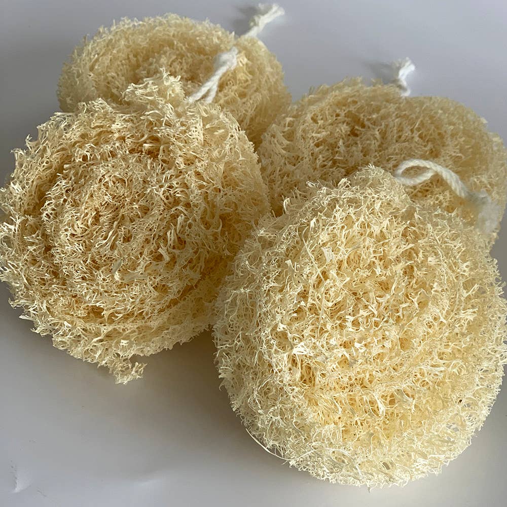 Luffa, rund