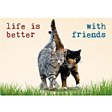 Vykort Life is better with friends