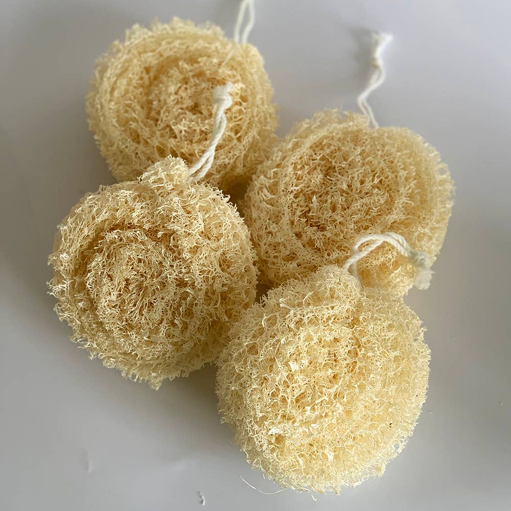 Luffa, rund