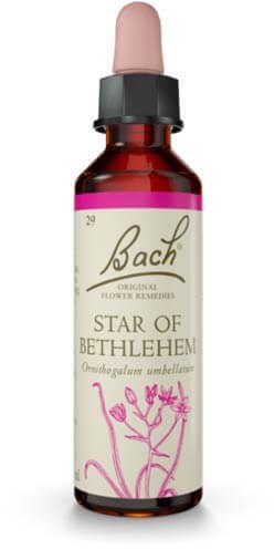 Bach Betlehemsstjärna 20ml