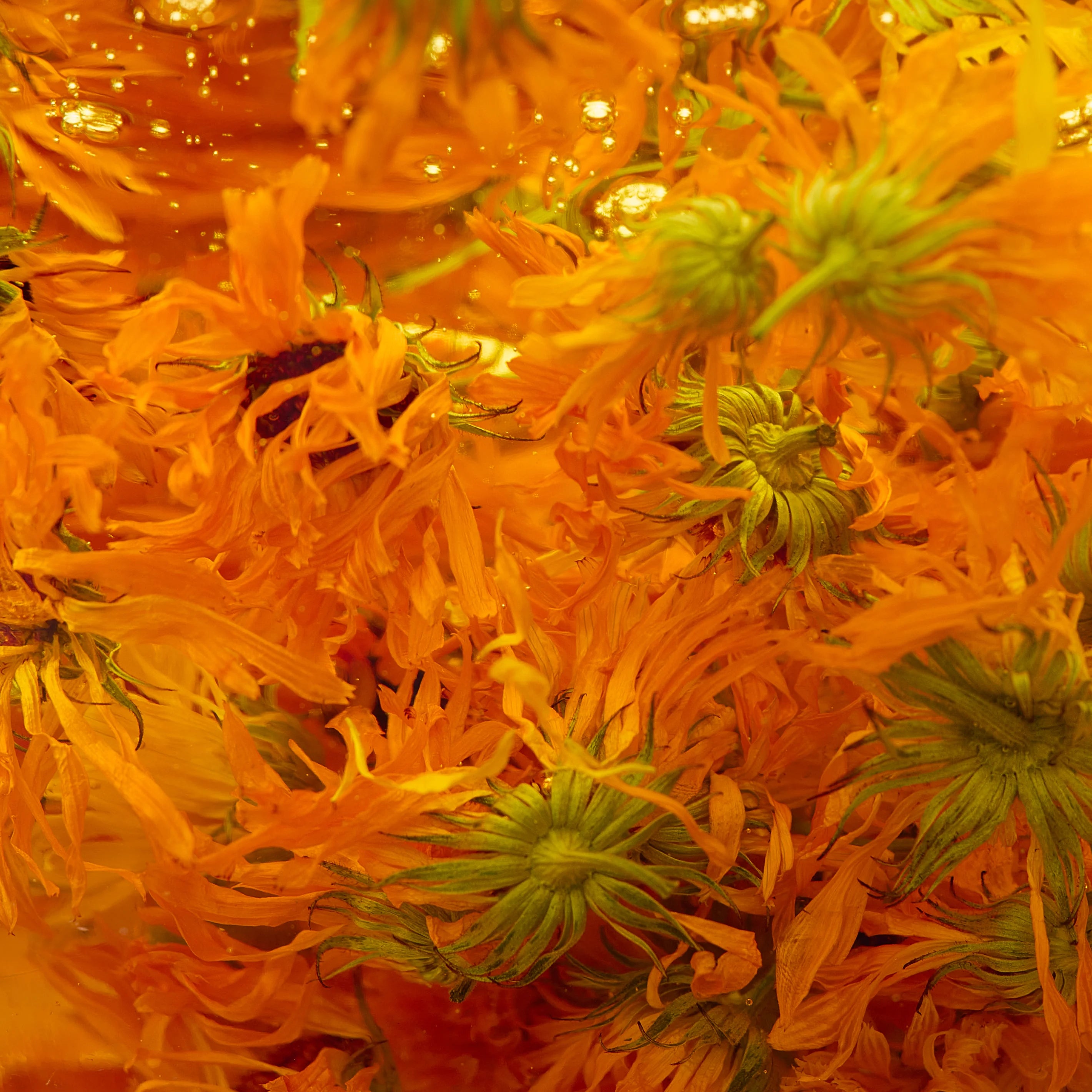 Frantsila Ringblommsserum 30 ml