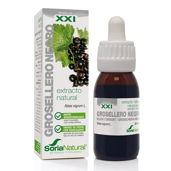Svartvinbärsbladsextrakt XXI 50ml