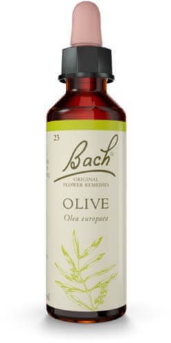 Oliv Blomdroppe 20ml