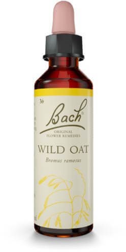 Vildhavre blomdroppe 20ml