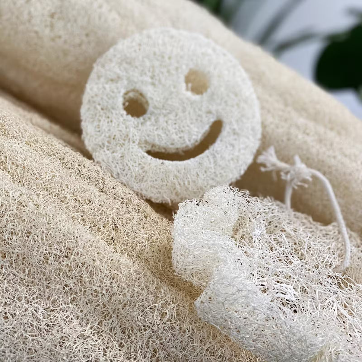 Egyptiläinen luonnonluffa