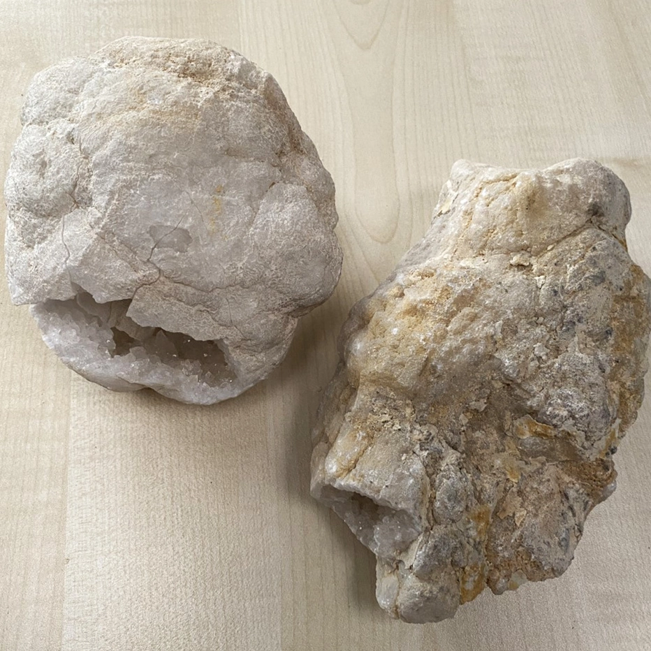 Geodi, keskikoko 5-6cm
