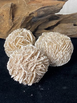 Ökenros - Desert Rose 3-6cm